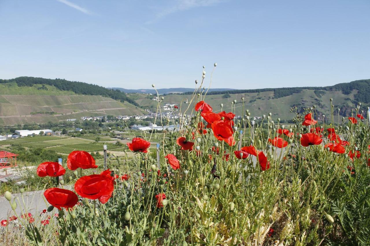 Ürzig 'Ferienhaus Mosel' Mit Kostenfreien Oepnv-Ticket מראה חיצוני תמונה