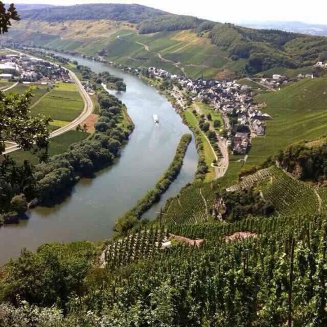 Ürzig 'Ferienhaus Mosel' Mit Kostenfreien Oepnv-Ticket מראה חיצוני תמונה